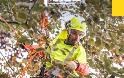 NAJA : Amarrage pour l’élagage, Petzl innove !